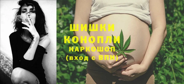 мдпв Лагань